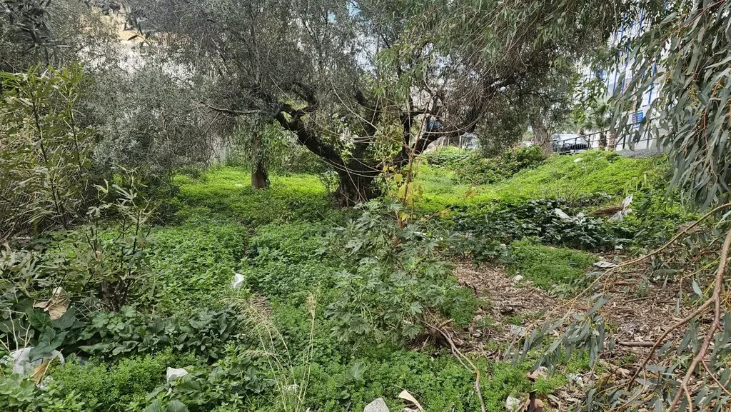 Land In Chersonisos, Greece