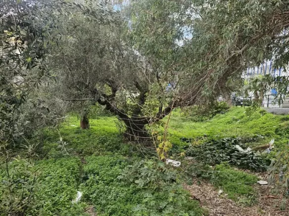 Land In Chersonisos, Greece