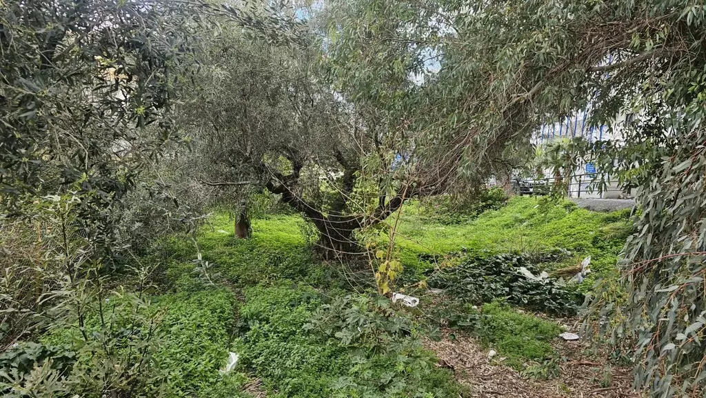 Land In Chersonisos, Greece
