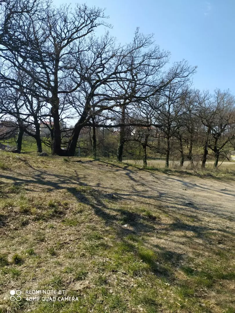 Land In Trsat, Croatia (2.492 M²)