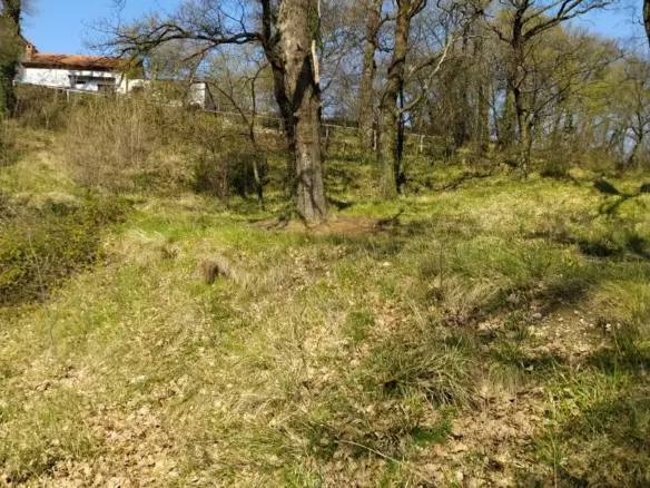 Land In Trsat, Croatia (2.492 M²)