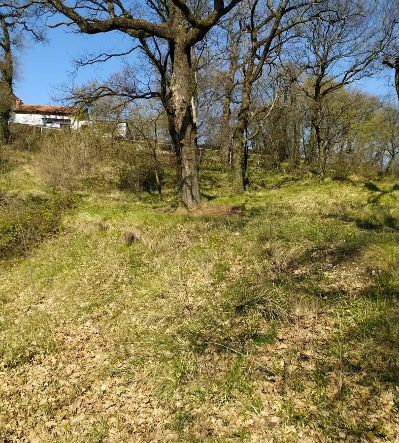 Land In Trsat, Croatia (2.492 M²)