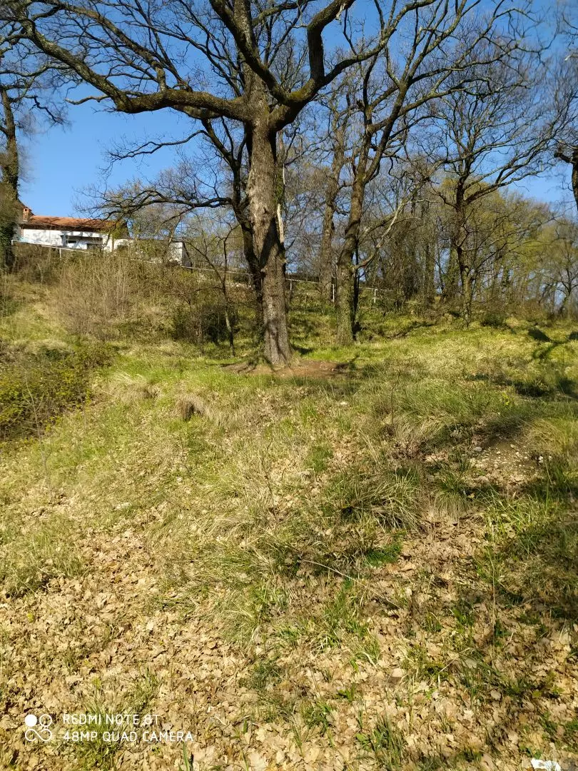 Land In Trsat, Croatia (2.492 M²)
