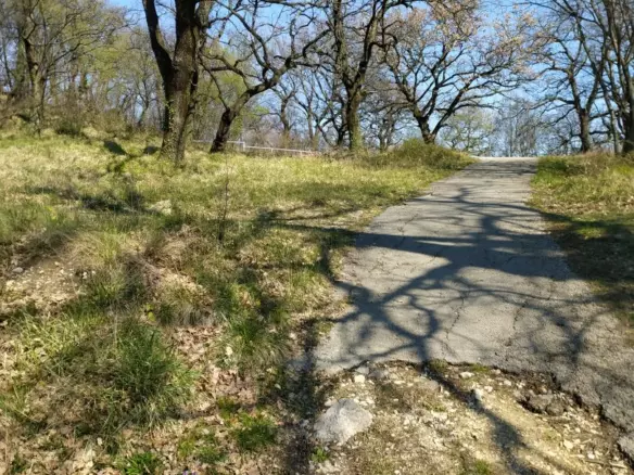 Land In Trsat, Croatia (2.492 M²)