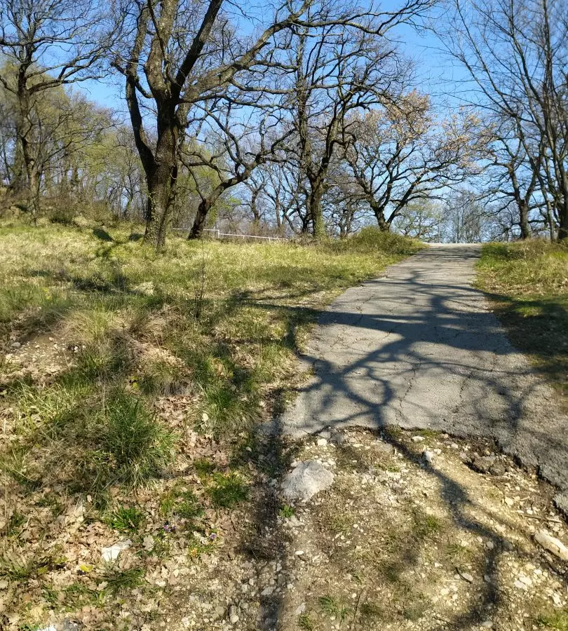 Land In Trsat, Croatia (2.492 M²)