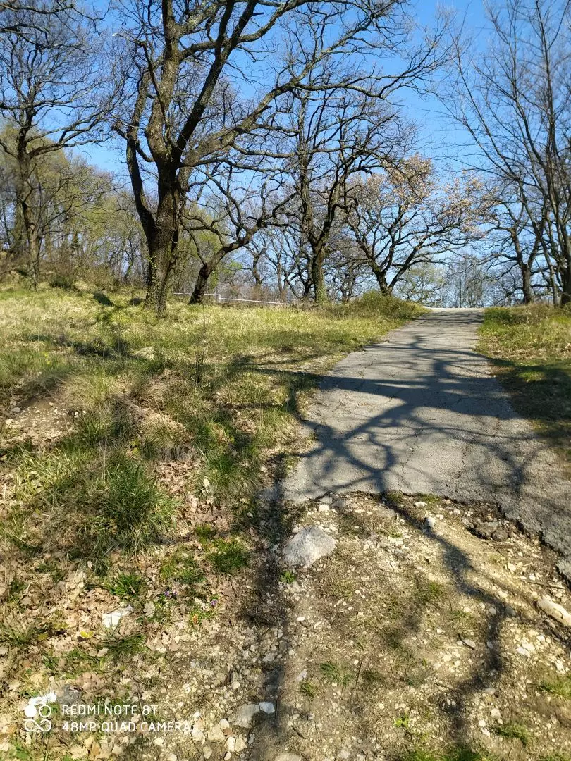 Land In Trsat, Croatia (2.492 M²)