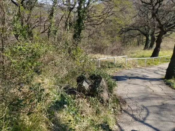 Land In Trsat, Croatia (2.492 M²)