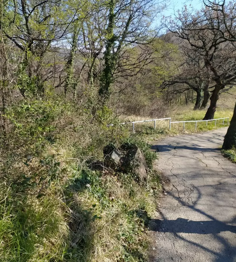 Land In Trsat, Croatia (2.492 M²)