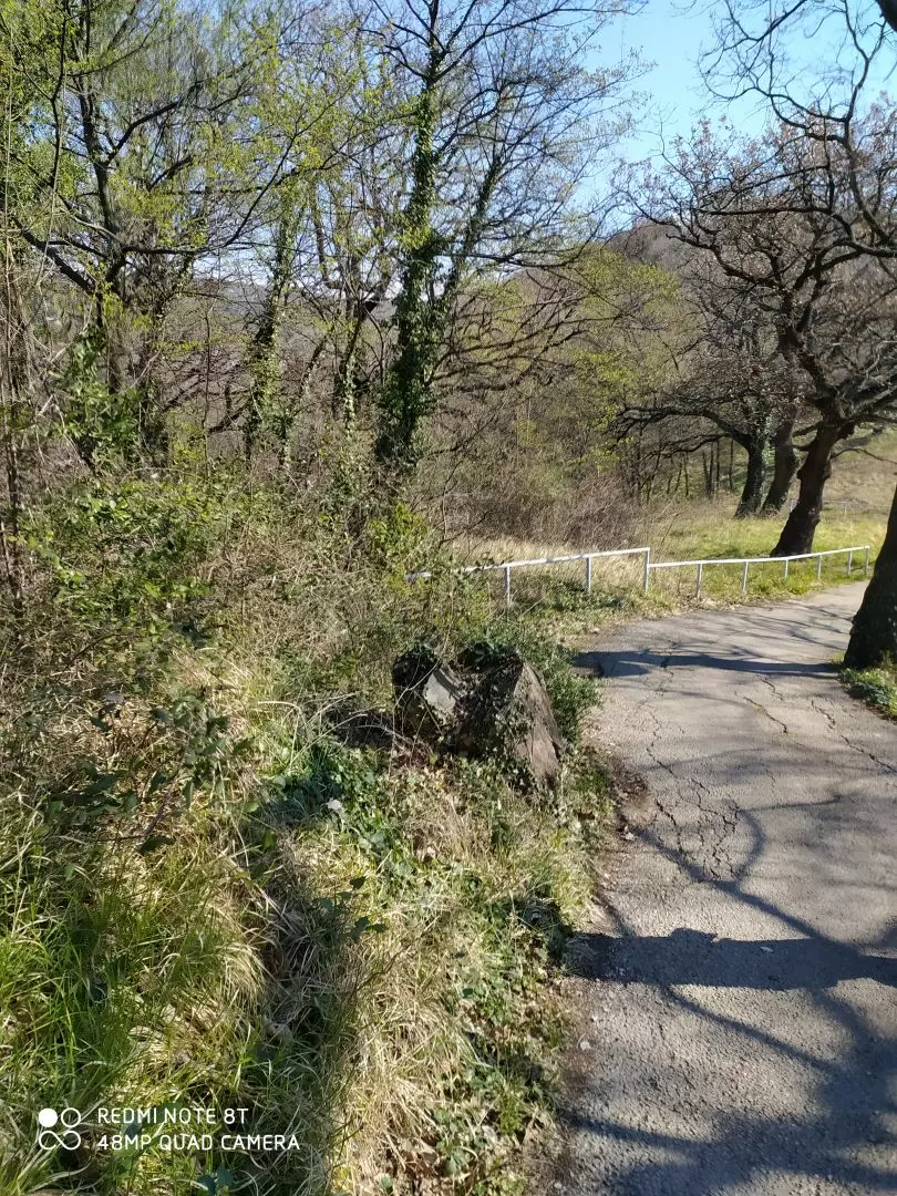 Land In Trsat, Croatia (2.492 M²)