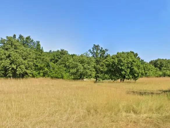 Land In Barban, Croatia (5.380 M²)
