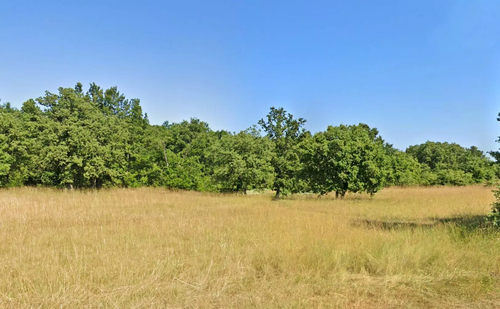 original_1670876595_uzgtzufdrzug-3a22ff Land In Barban, Croatia (5.380 M²)
