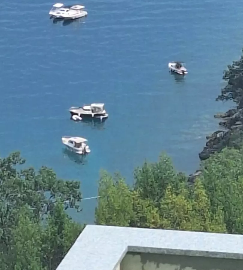 3-bedroom Detached House In Medveja, Croatia (100 M²)