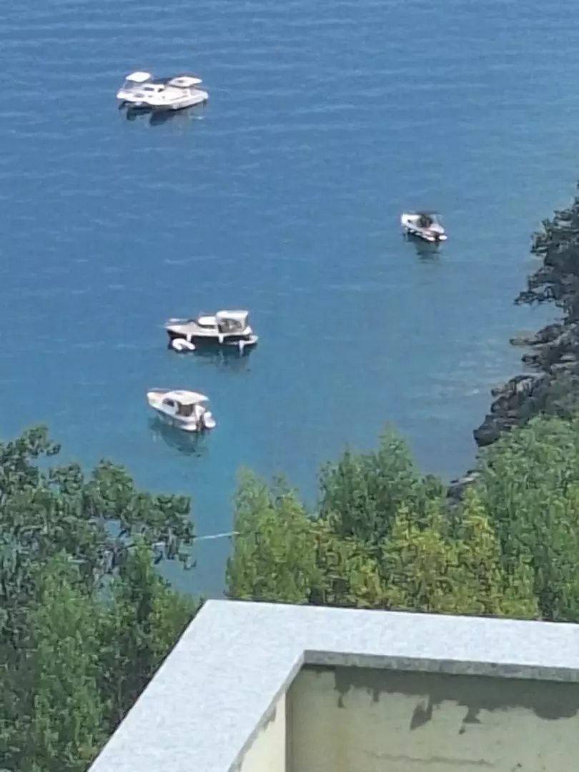 3-bedroom Detached House In Medveja, Croatia (100 M²)