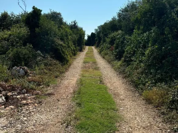 Land In Šišan, Croatia (4.304 M²)