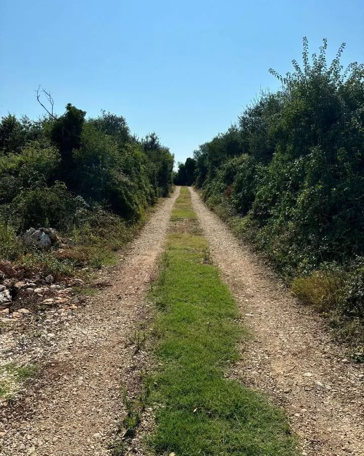 Land In Šišan, Croatia (4.304 M²)