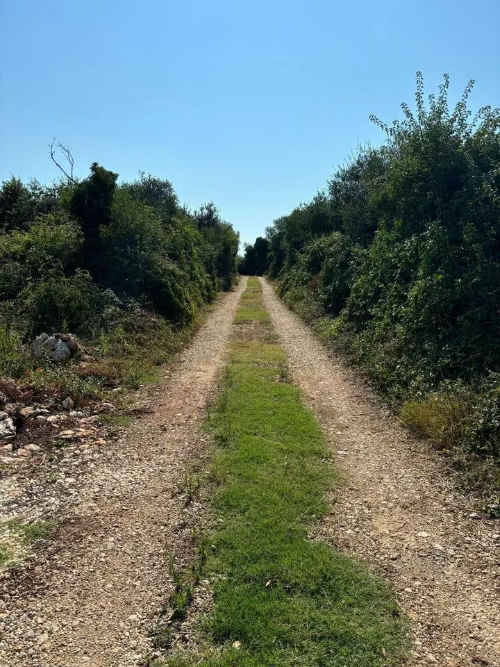 Land In Šišan, Croatia (4.304 M²)