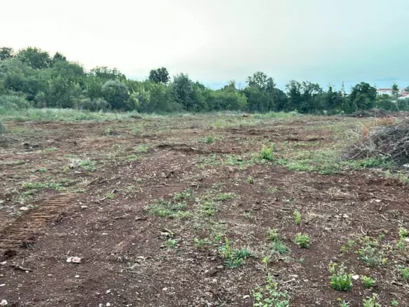 Land In Šišan, Croatia (4.304 M²)