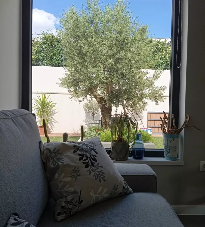 2-bedroom Apartment In Sveti Filip I Jakov, Croatia (110,42 M²)