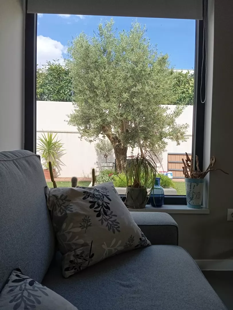 2-bedroom Apartment In Sveti Filip I Jakov, Croatia (110,42 M²)