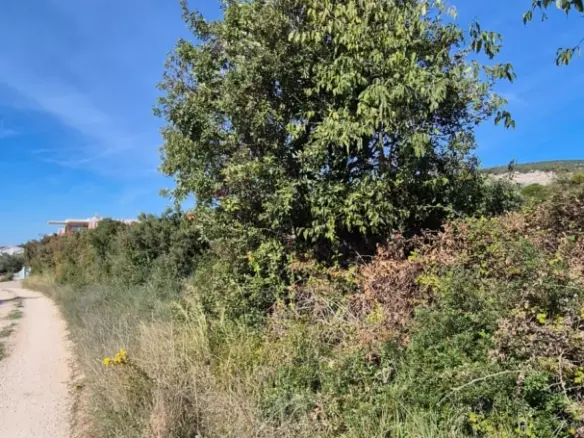Land In Turanj, Croatia (1.959 M²)