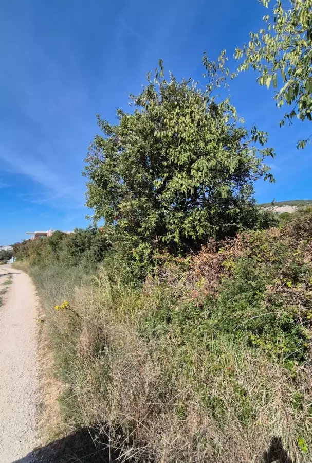 Land In Turanj, Croatia (1.959 M²)