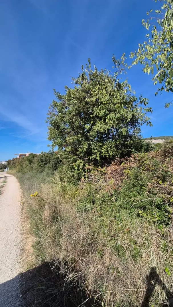 Land In Turanj, Croatia (1.959 M²)