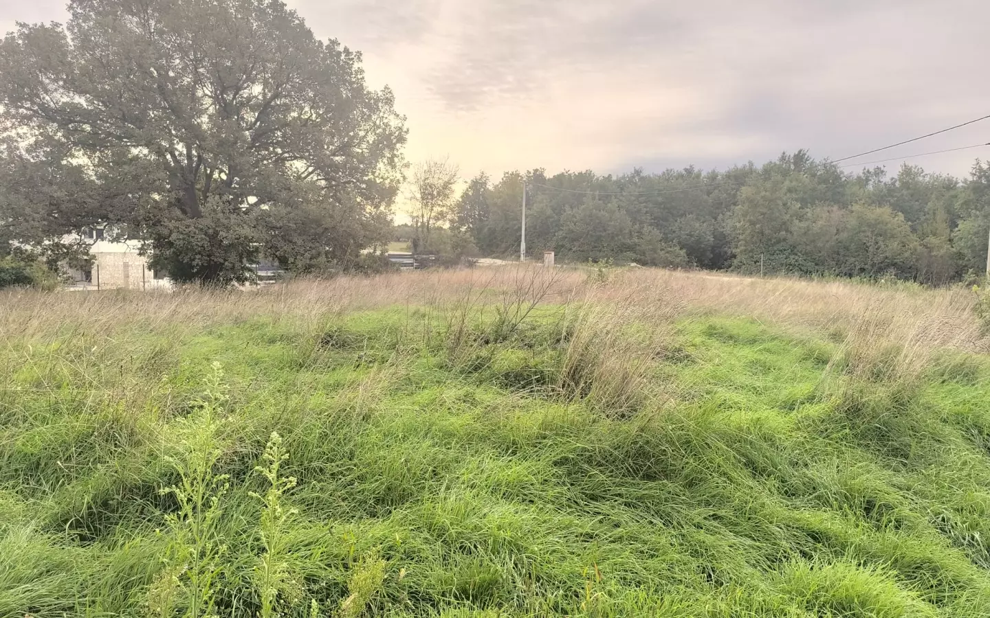 Land In Juršići, Croatia (980 M²)