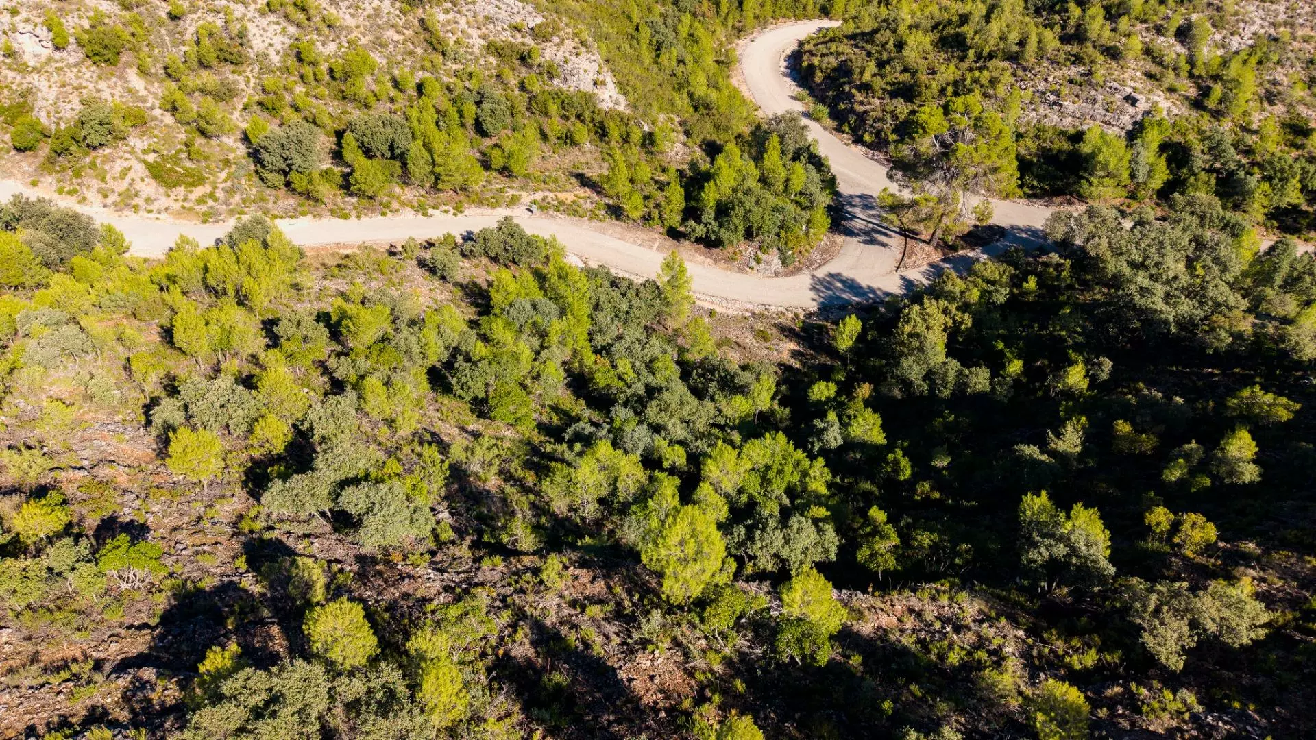 Urban Plot In Albalate De Zorita, Spain (60.853 M² Plot)