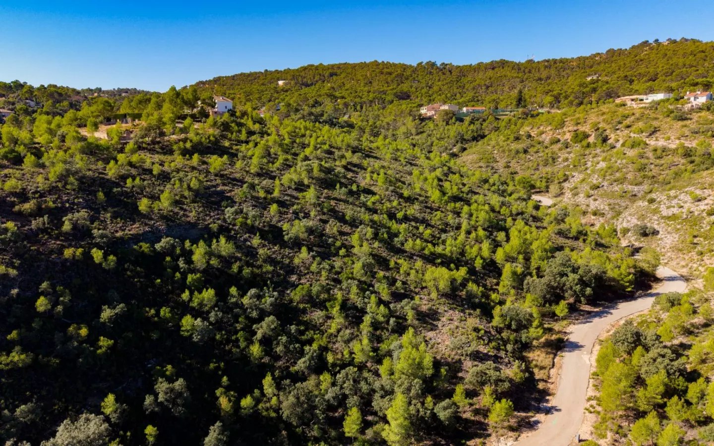 Urban Plot In Albalate De Zorita, Spain (60.853 M² Plot)