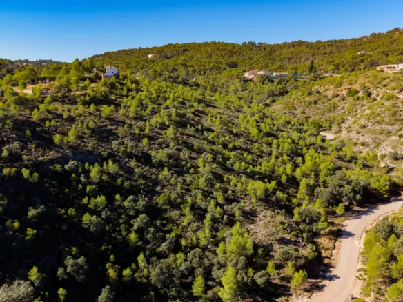 Urban Plot In Albalate De Zorita, Spain (60.853 M² Plot)