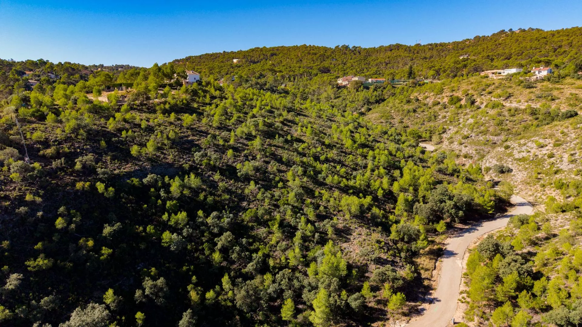 Urban Plot In Albalate De Zorita, Spain (60.853 M² Plot)