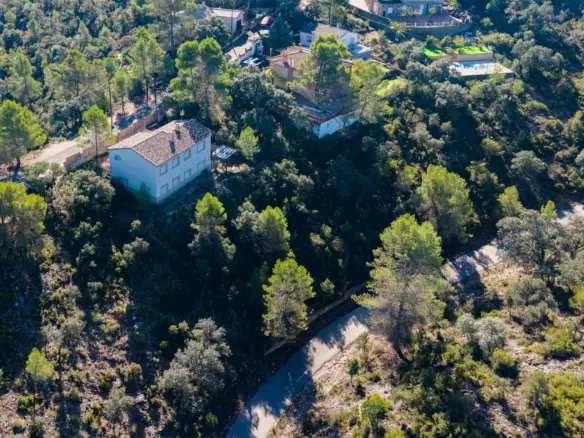Urban Plot In Albalate De Zorita, Spain (60.853 M² Plot)
