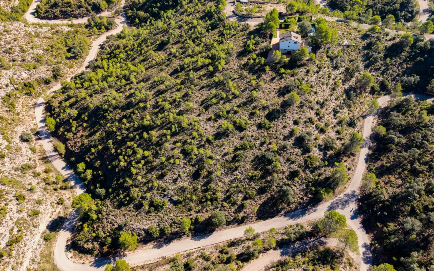 Urban Plot In Albalate De Zorita, Spain (60.853 M² Plot)
