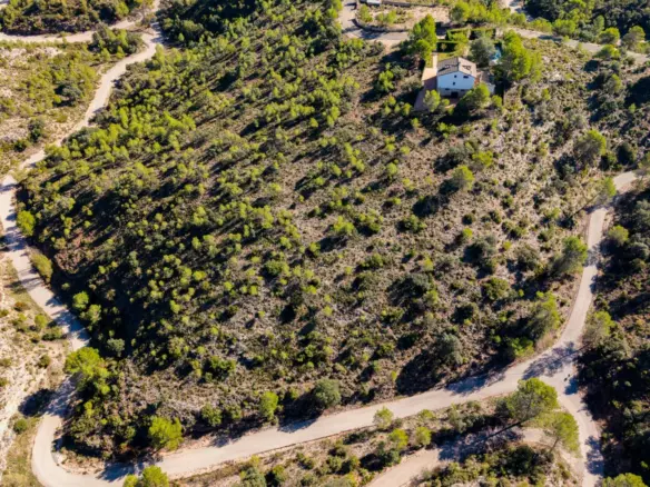 Urban Plot In Albalate De Zorita, Spain (60.853 M² Plot)