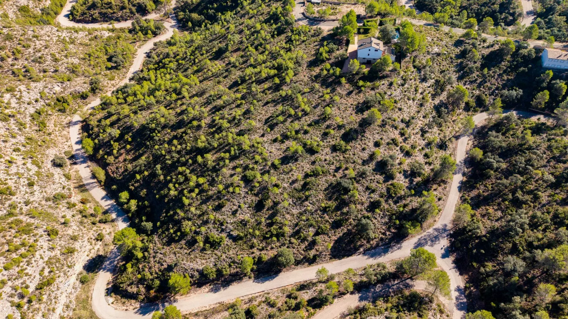 Urban Plot In Albalate De Zorita, Spain (60.853 M² Plot)
