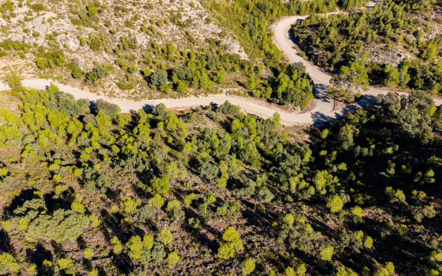 Urban Plot In Albalate De Zorita, Spain (60.853 M² Plot)