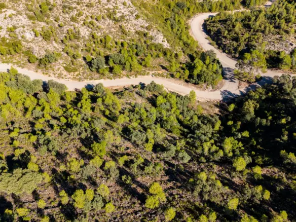 Urban Plot In Albalate De Zorita, Spain (60.853 M² Plot)