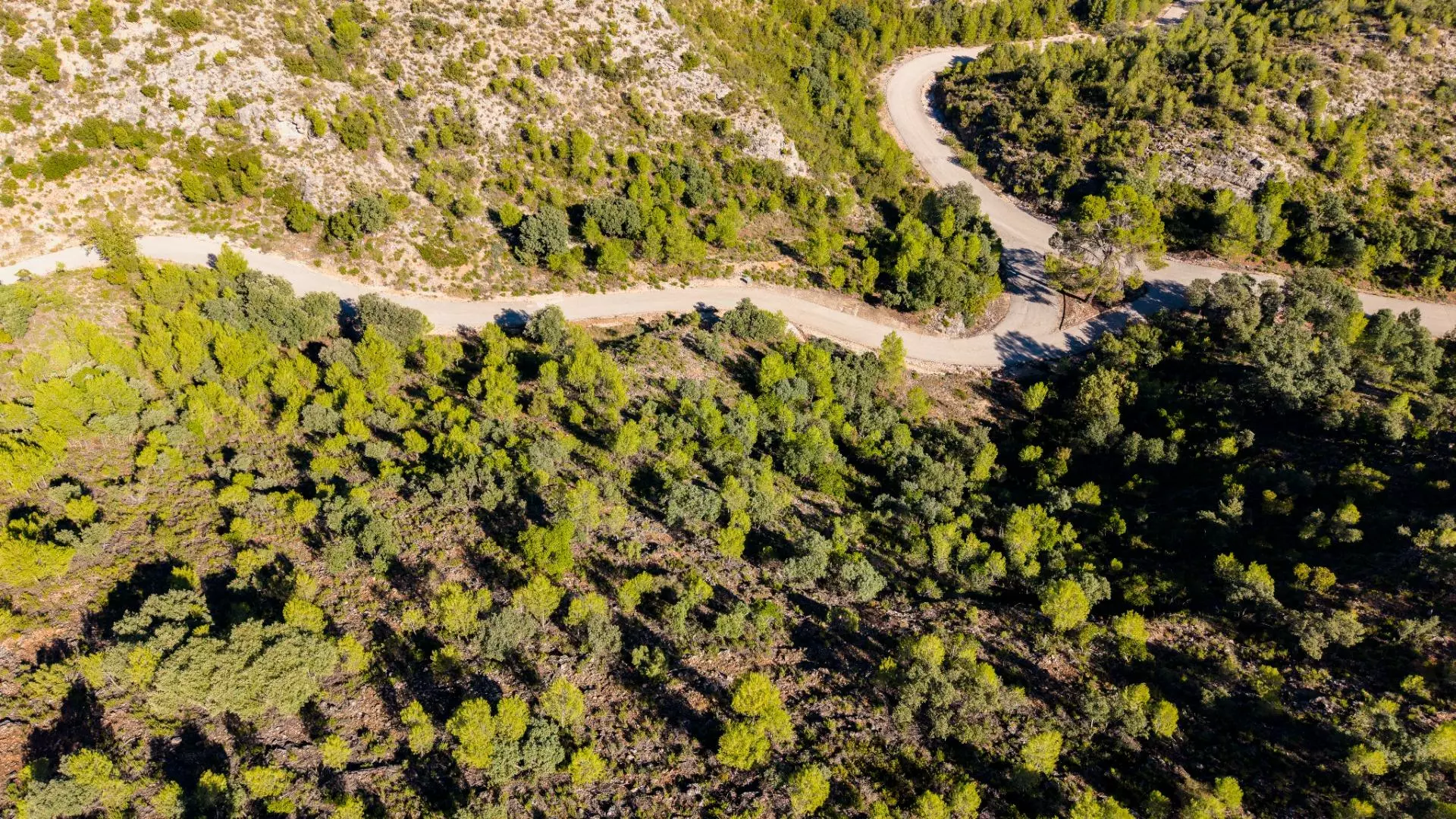 Urban Plot In Albalate De Zorita, Spain (60.853 M² Plot)
