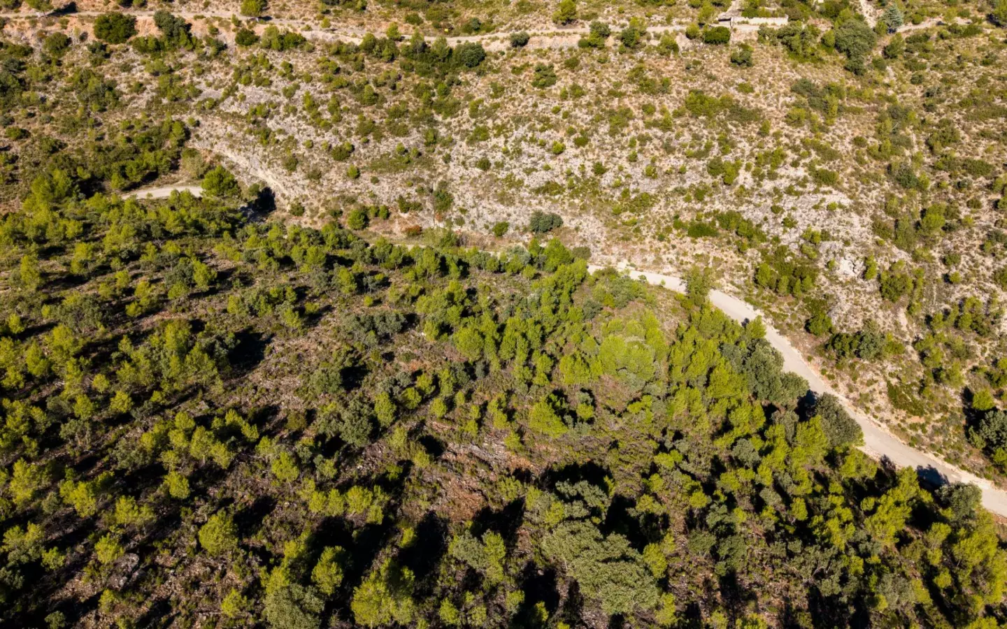 Urban Plot In Albalate De Zorita, Spain (60.853 M² Plot)