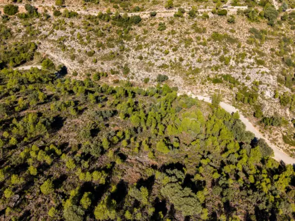 Urban Plot In Albalate De Zorita, Spain (60.853 M² Plot)