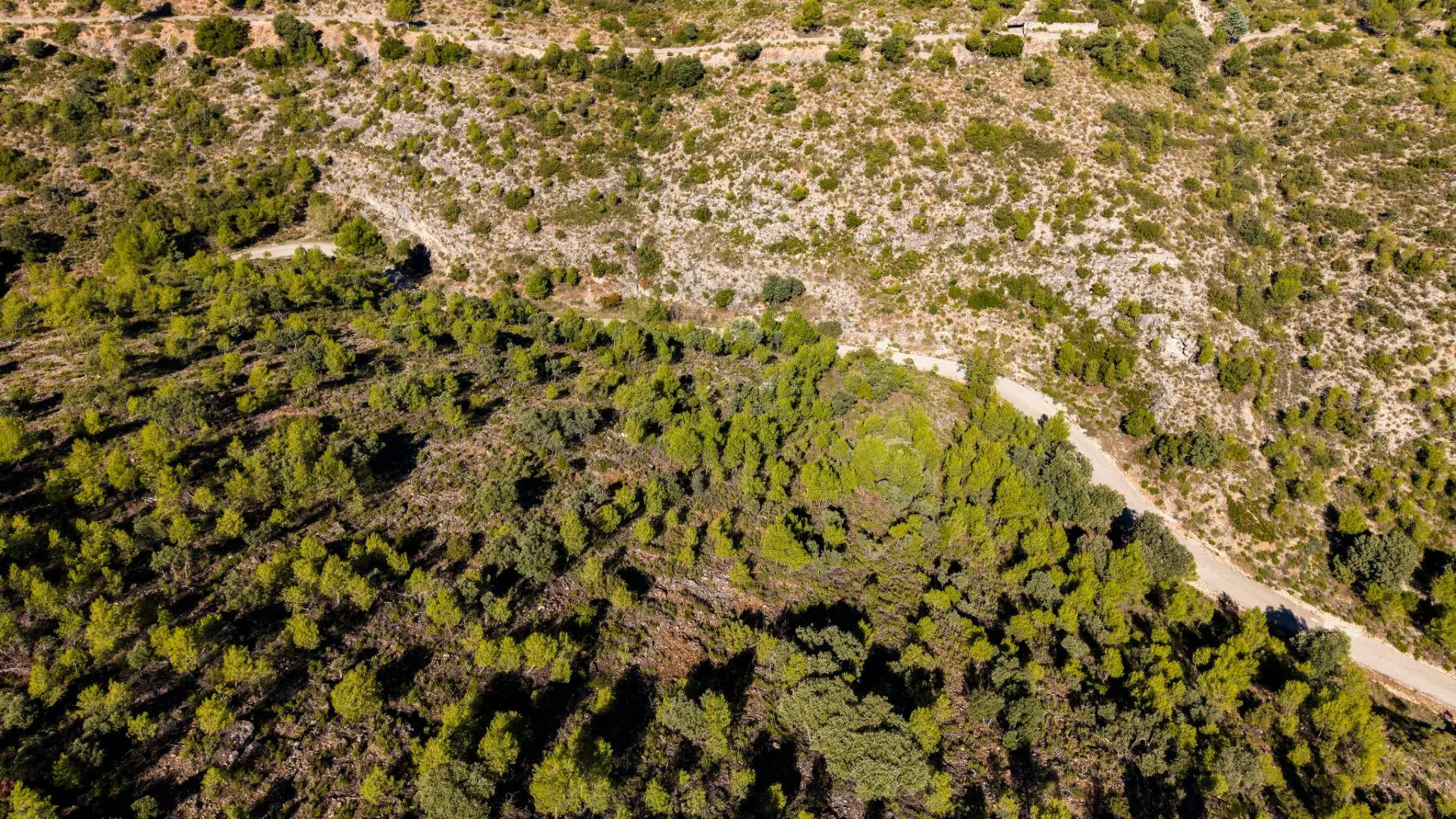 Urban Plot In Albalate De Zorita, Spain (60.853 M² Plot)