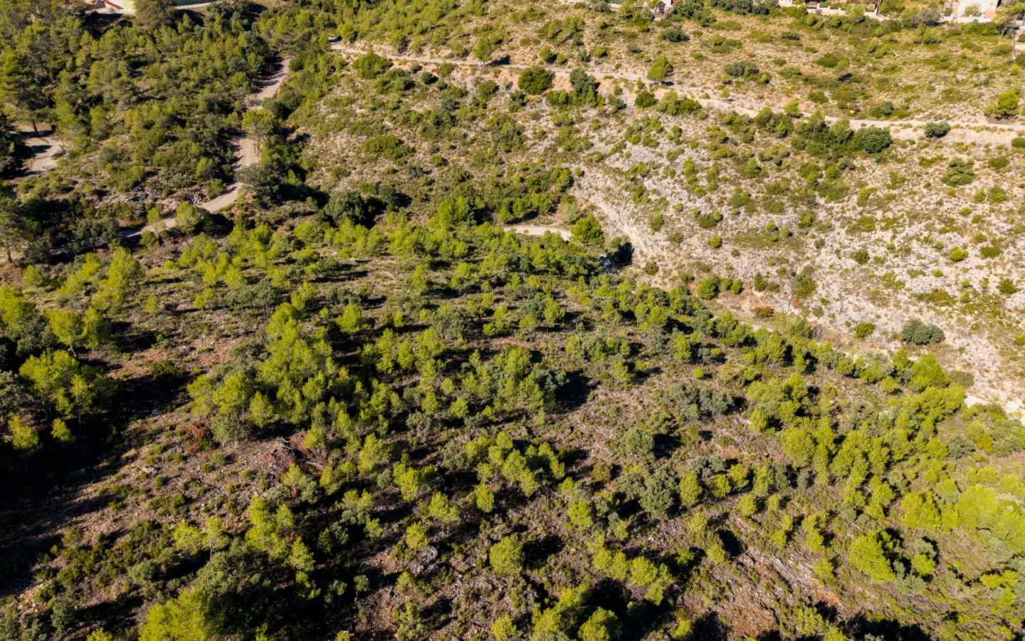 Urban Plot In Albalate De Zorita, Spain (60.853 M² Plot)