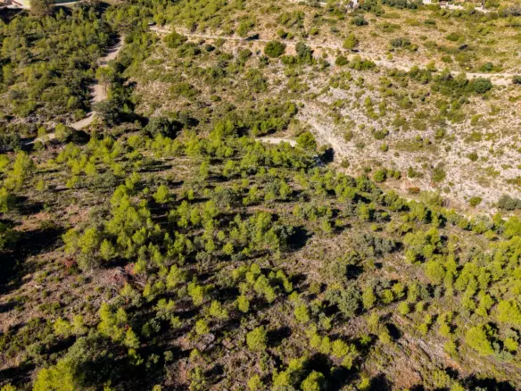 Urban Plot In Albalate De Zorita, Spain (60.853 M² Plot)