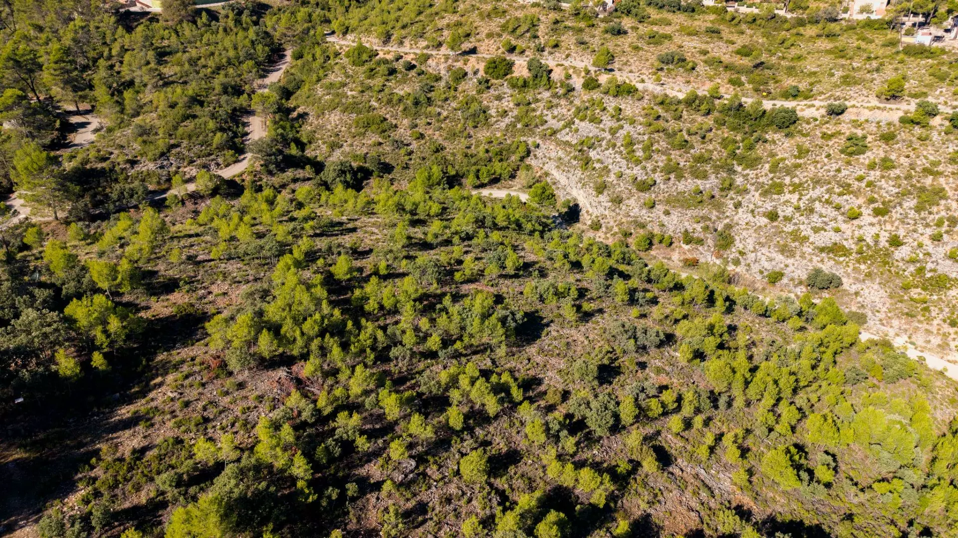 Urban Plot In Albalate De Zorita, Spain (60.853 M² Plot)
