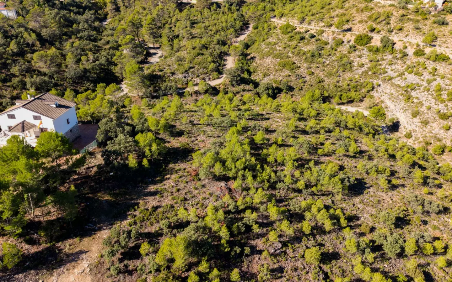 Urban Plot In Albalate De Zorita, Spain (60.853 M² Plot)
