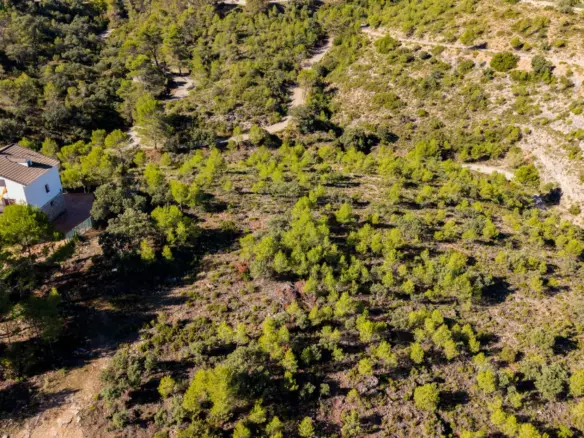 Urban Plot In Albalate De Zorita, Spain (60.853 M² Plot)