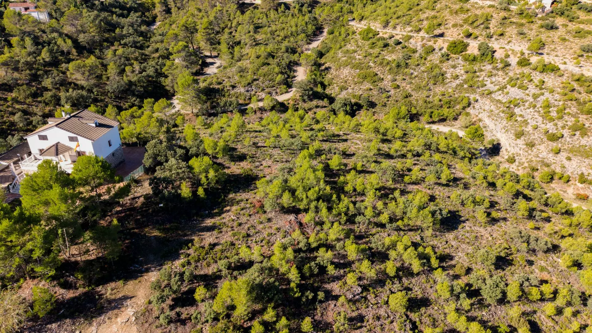 Urban Plot In Albalate De Zorita, Spain (60.853 M² Plot)