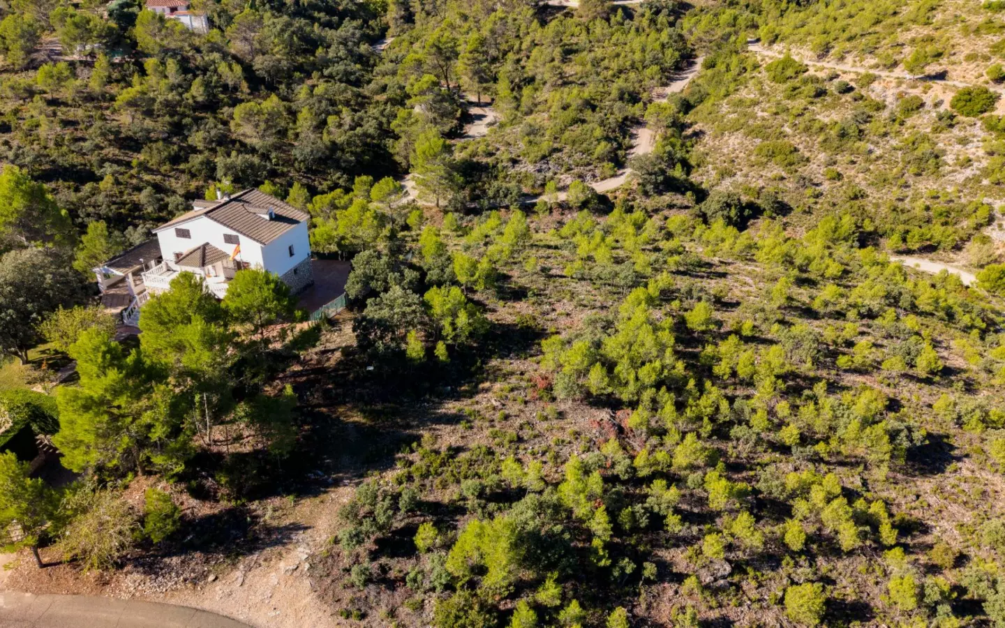 Urban Plot In Albalate De Zorita, Spain (60.853 M² Plot)