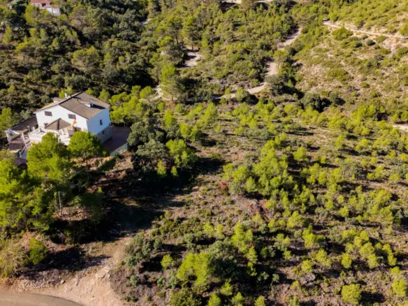 Urban Plot In Albalate De Zorita, Spain (60.853 M² Plot)