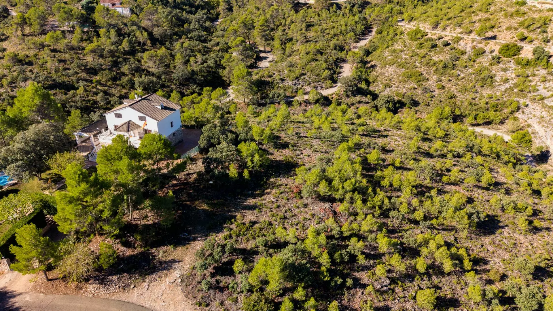 Urban Plot In Albalate De Zorita, Spain (60.853 M² Plot)